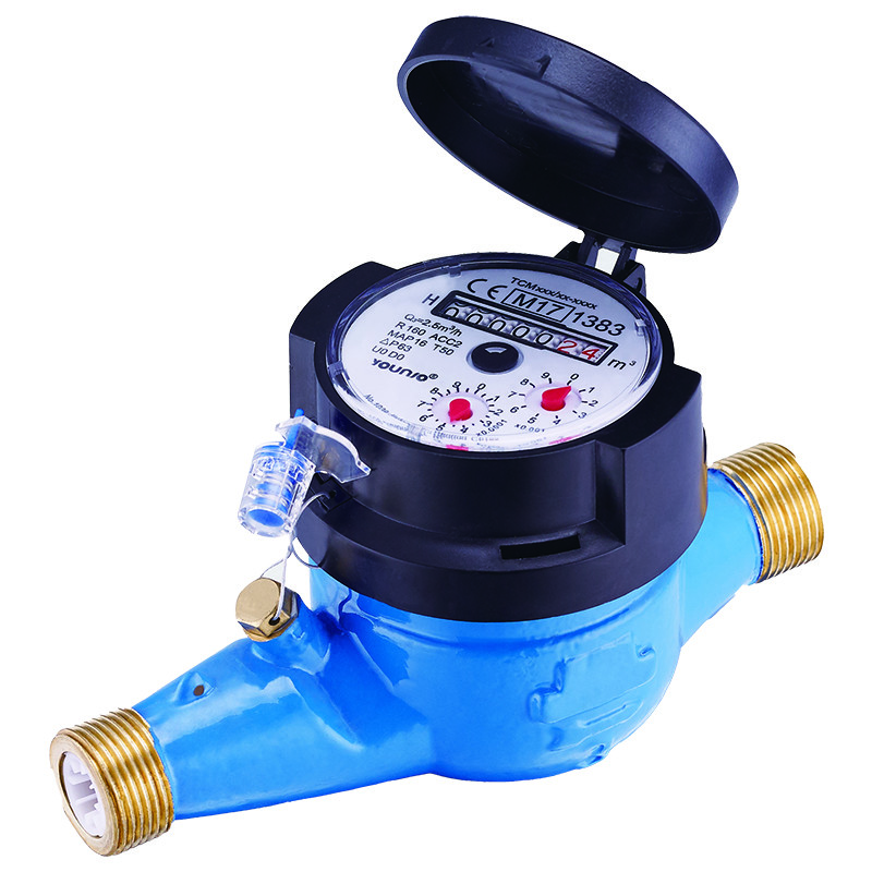 R160 Multi Jet Dry Dial Water Meter